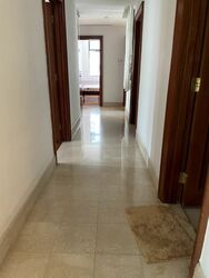 Valley Park (D10), Condominium #393681171